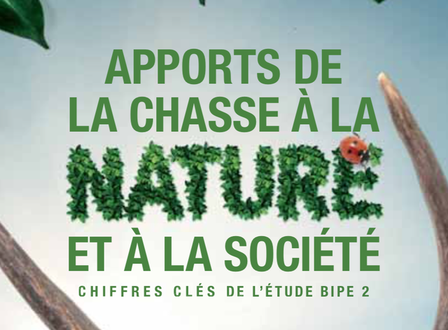 étude sur la chasse française