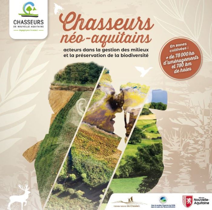 Gestion des milieux biodiversité haie haies chaume chaumes CIPAN zone humide zones humides chasseurs Nouvelle-Aquitaine chasseur vaches marines vache marine béarnaise béarnaises